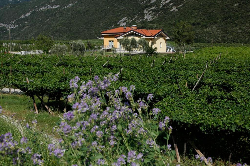 Appartamenti Al Vigneto Dro Exterior photo
